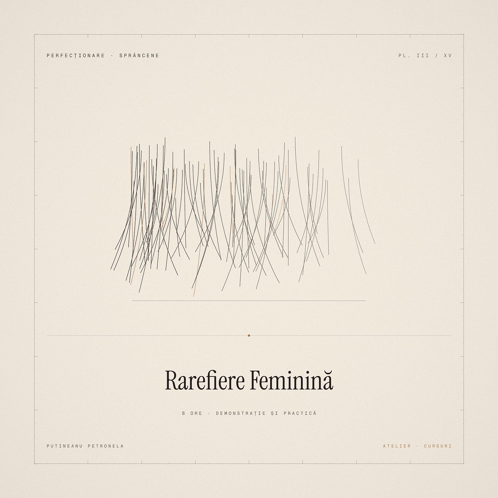 Curs rarefierea sprâncenelor feminine