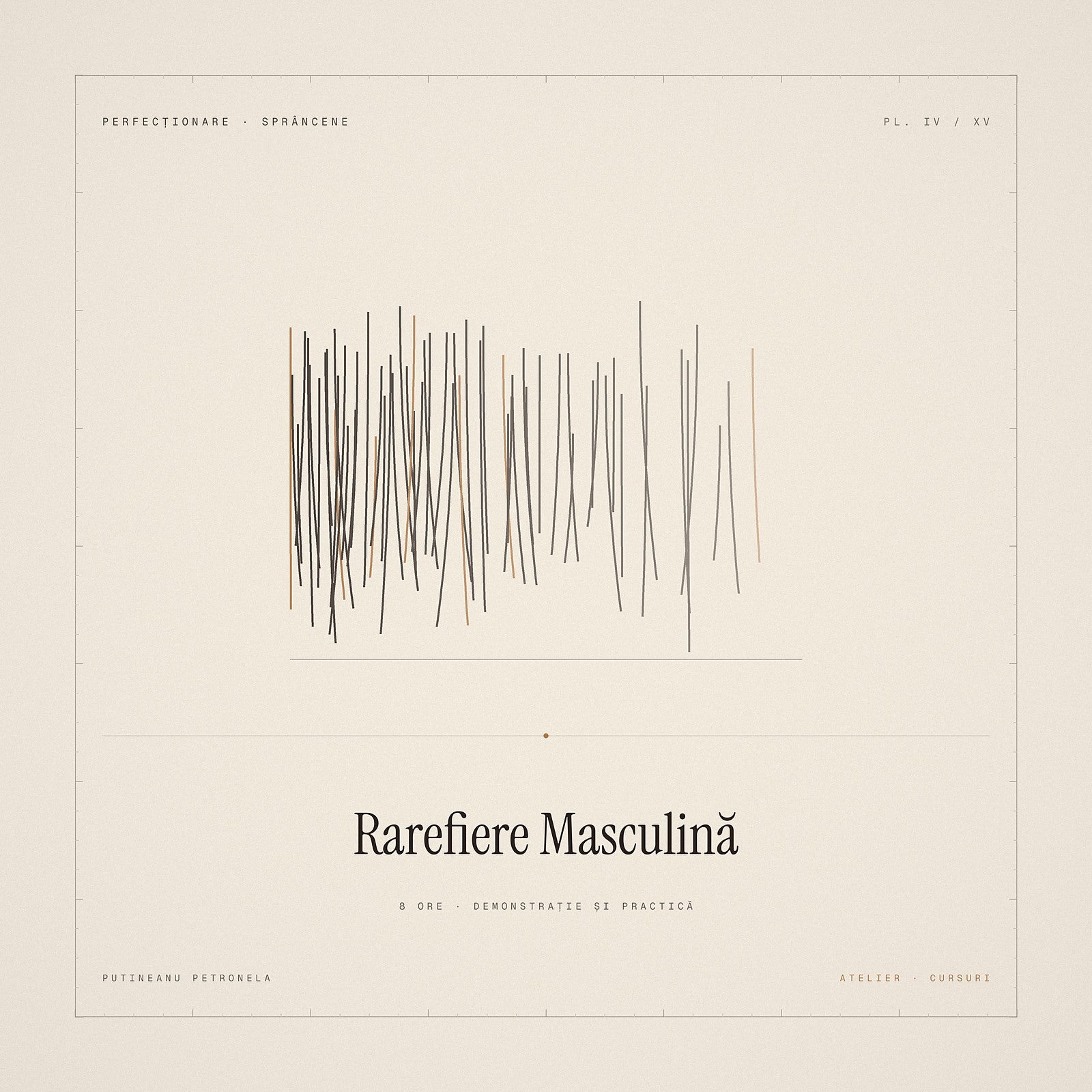 Curs rarefierea sprâncenelor masculine